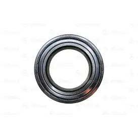RULMENT 6011 2 Z SKF