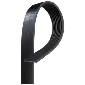 CUREA OPTIBELT 8PK1962 TM