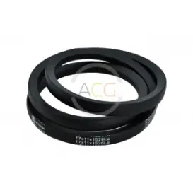 CUREA TRAPEZOIDALA  17x11X 2589   YONG BELT