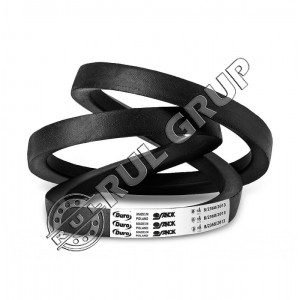 CUREA 22x14X1295  LI  C51  OPTIBELT
