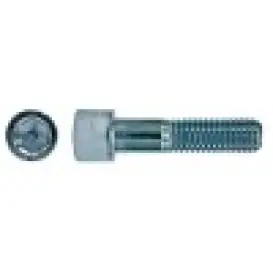 SURUB CAP CILINDRU IMBUS  12X100 -912/8.8 SI 10,9  PARTIAL FILET