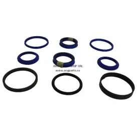 SET GARNITURI CILINDRU DIRECTIE (DE LA KIT SERVODIRECTIE AHS) U650