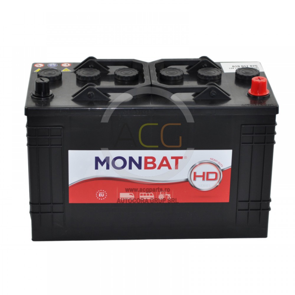 BATERII 12VX110 AH DYNAMIC MONBAT