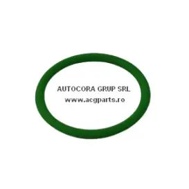 ORING 30X3 VERDE 227829 AP62440