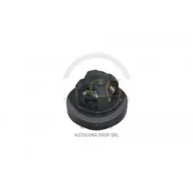 SUPAPA POMPA P120 TOLVERI TOL1008