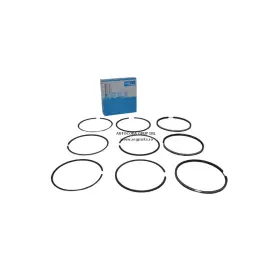 SET SEGMENTI MOTOR U445 FI 95 APEX