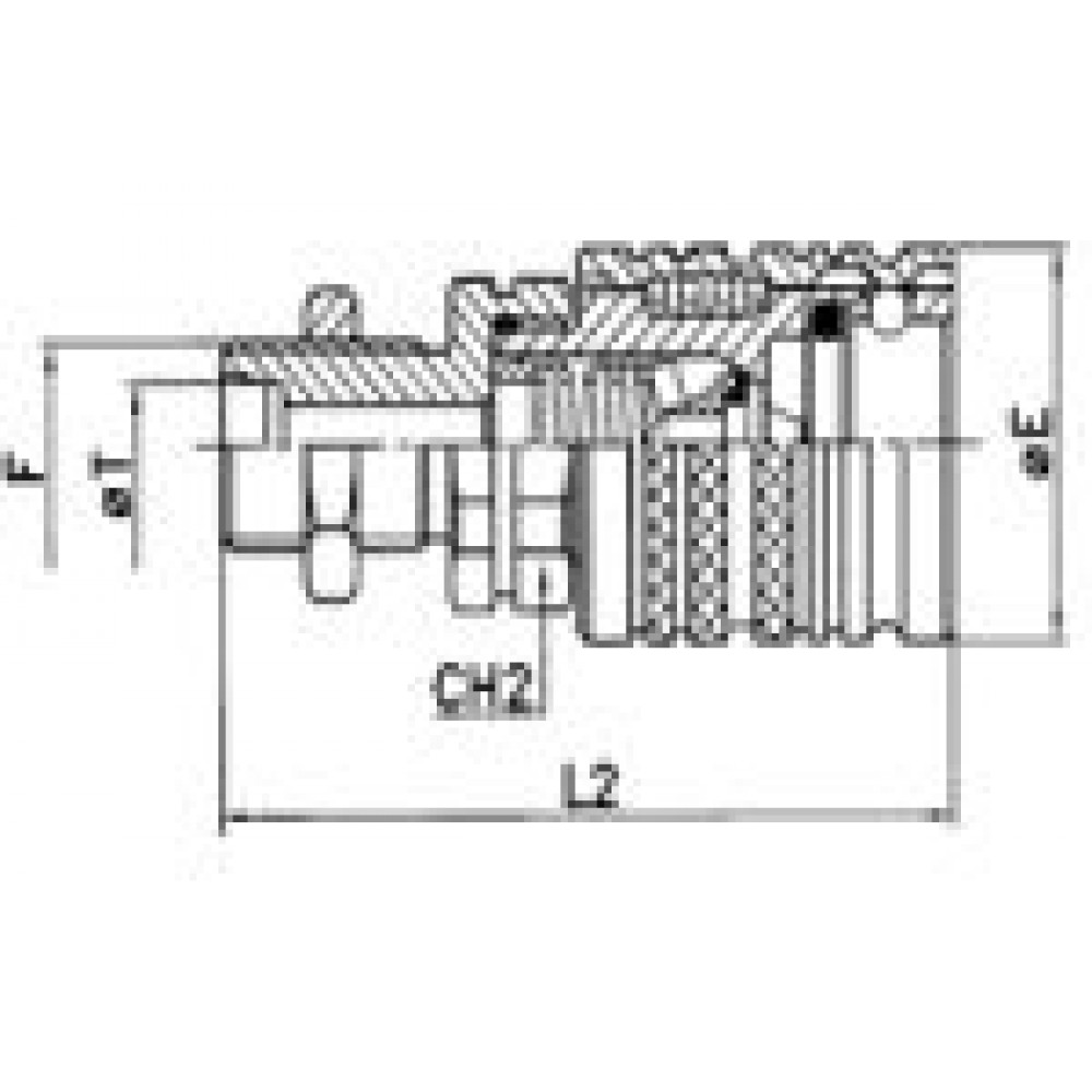 CUPLE M-T LUNGI METRICE CU PIULIA STRINGEREV ITALIA