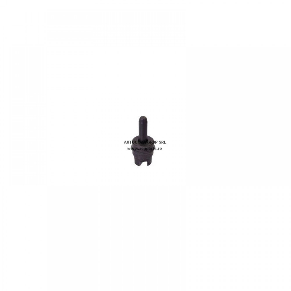 SUPAPA CILINDRU FI100 26.60.004 U650 TEC