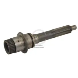 ARBORE GV LG AK6 0003 SG SF55048