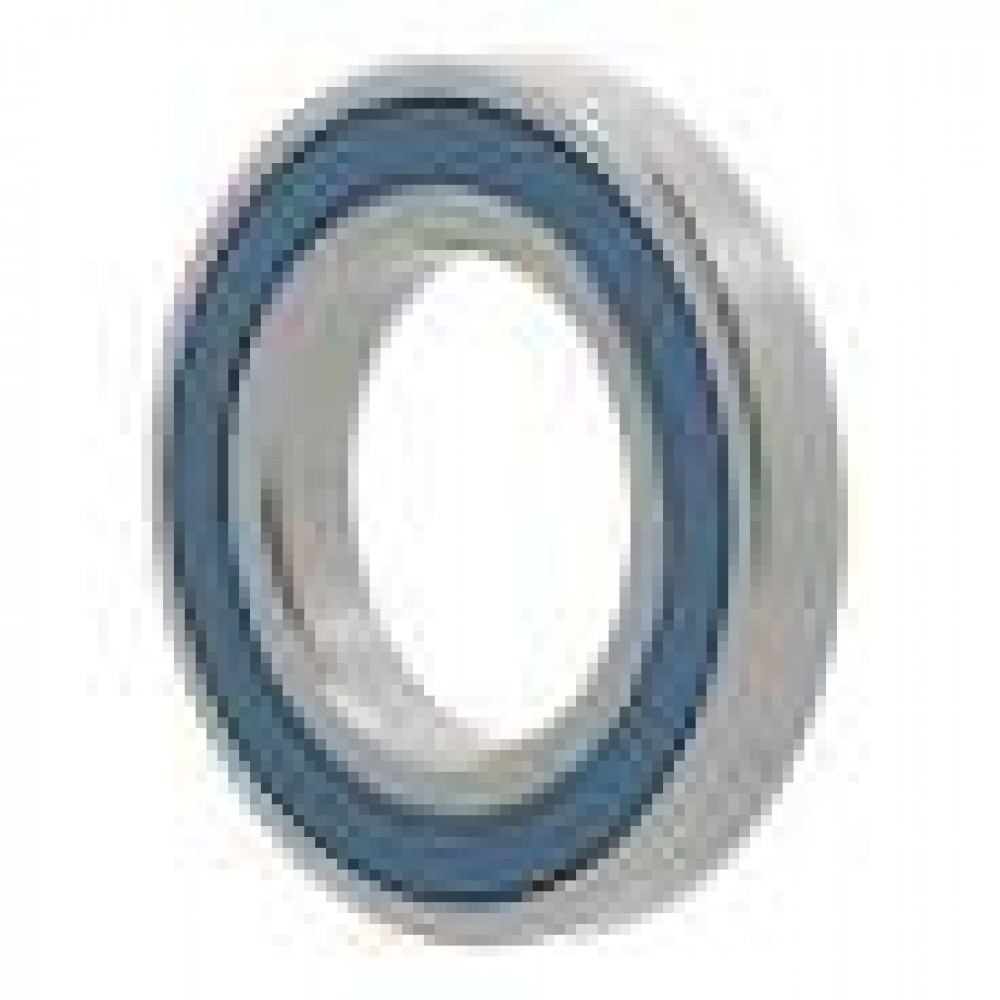 RULMENT 6019 2RS  STEYR