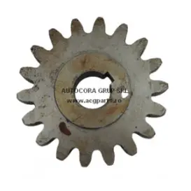  ROATA DINTATA Z=18 C.P SUP29