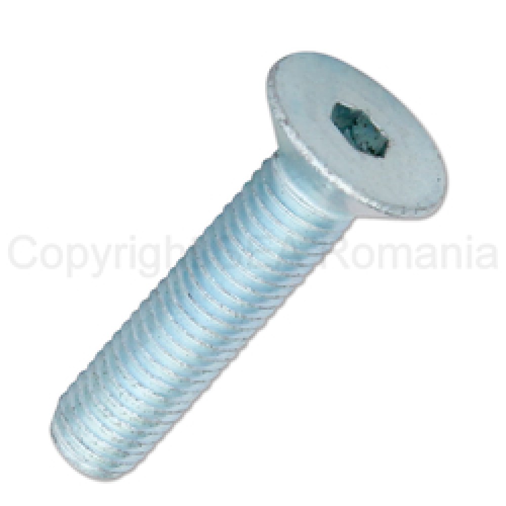 SURUB INOX CAP INECAT IMBUS  10x65  -7991/8.8ZA