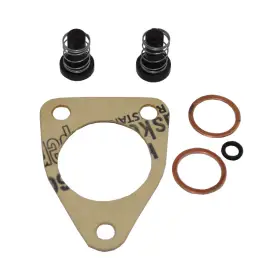 SET GARNITURI POMPA ALIMENTARE U650 101.65.139